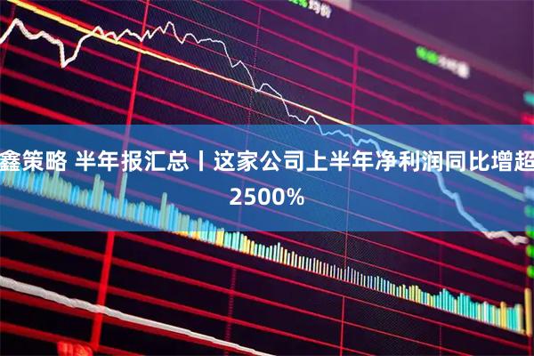 鑫策略 半年报汇总丨这家公司上半年净利润同比增超2500%