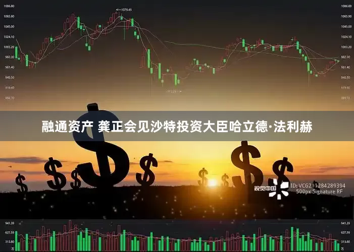 融通资产 龚正会见沙特投资大臣哈立德·法利赫