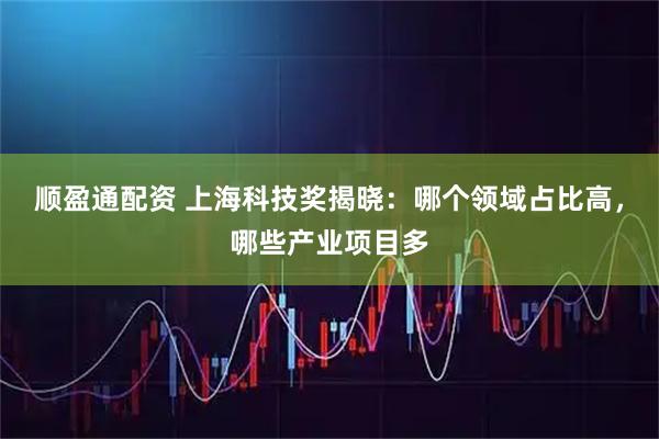 顺盈通配资 上海科技奖揭晓：哪个领域占比高，哪些产业项目多
