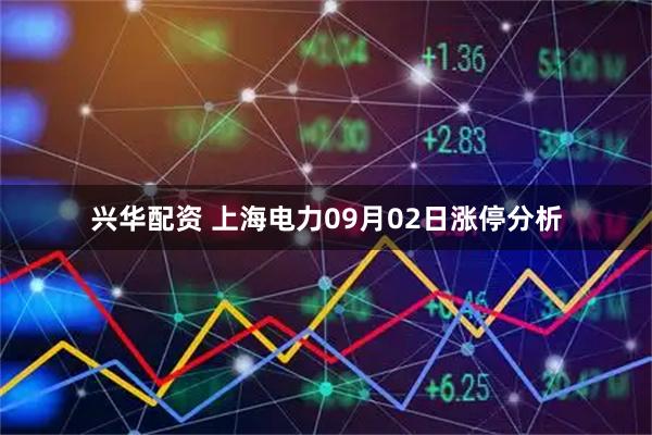 兴华配资 上海电力09月02日涨停分析