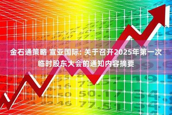 金石通策略 宣亚国际: 关于召开2025年第一次临时股东大会的通知内容摘要